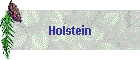 Holstein